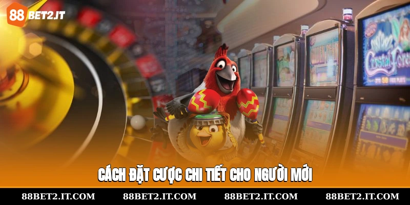 Cách đặt cược chi tiết cho người mới 
