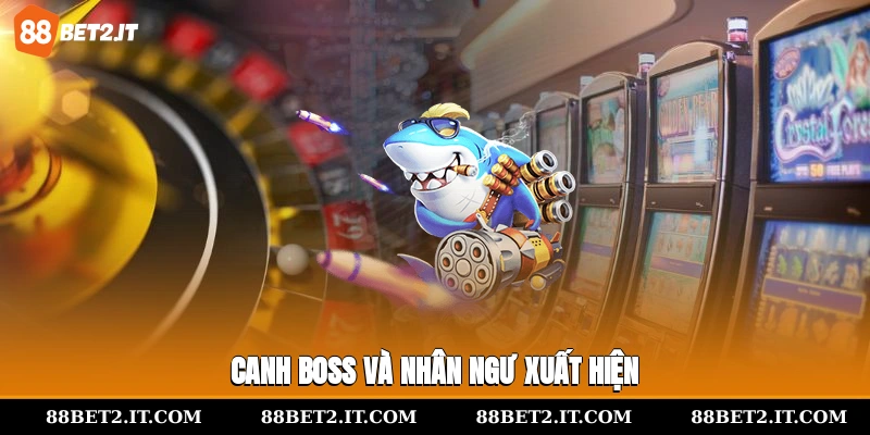 Canh boss và nhân ngư xuất hiện