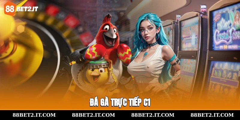 đá gà trực tiếp C1