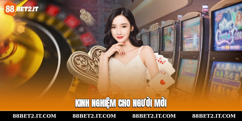 Kinh nghiệm cho người mới