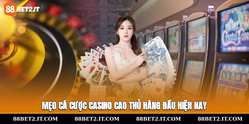 Mẹo cá cược casino cao thủ hàng đầu hiện nay