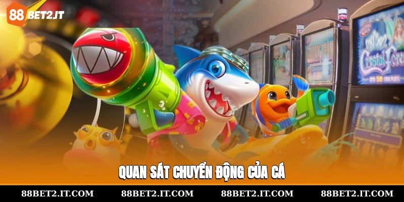 Quan sát chuyển động của cá