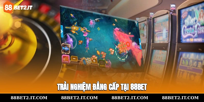 Trải nghiệm đẳng cấp tại 88Bet